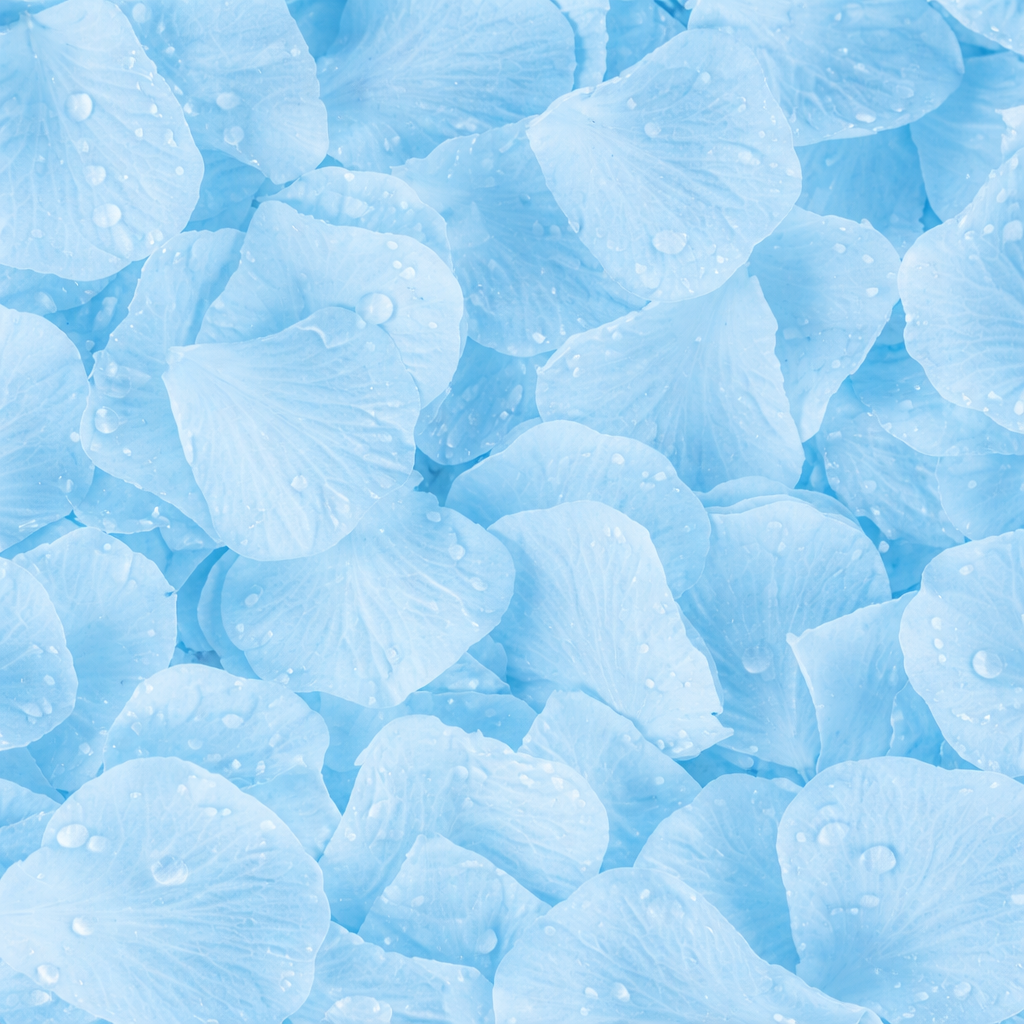 1000 Artificial Rose Petals for Weddings, Parties & Events