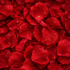 1000 Artificial Rose Petals for Weddings, Parties & Events